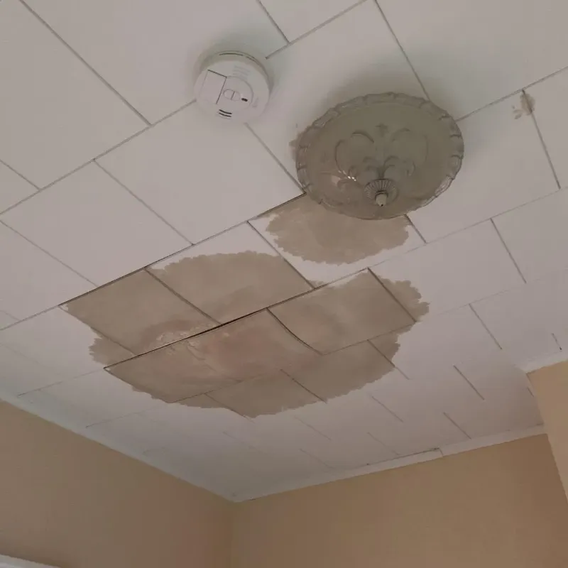 Ceiling Water Damage Repair in Florence, TX