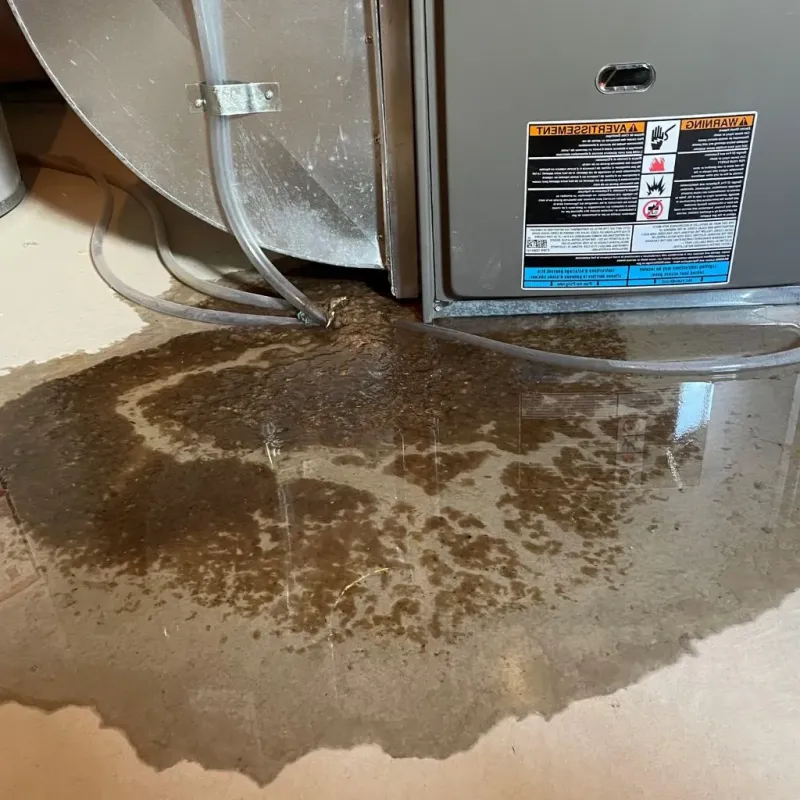 Pipe Burst and Leak Restoration in Florence, TX